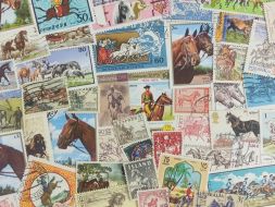 Набор различных марок, Лошади (40 шт.)